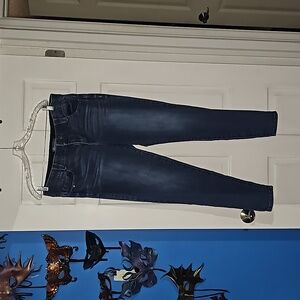 16W Democracy Skinny Jeans